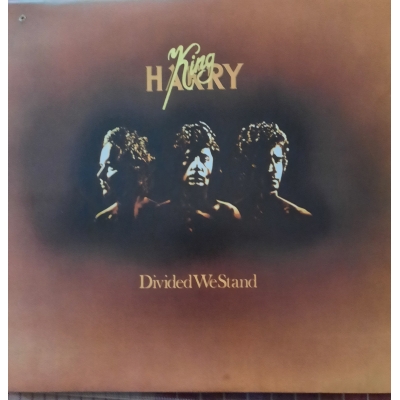  King Harry ‎– Divided We Stand (Zeer goede staat, hoes VG en vinyl VG+) EMI ‎– EMC 3188